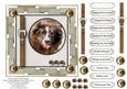 Man's Best Friend Topper 10