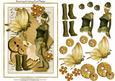 Steampunk Honey Card Topper 2