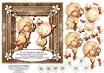 Lucky Ducky Card Topper 4