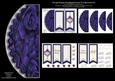 Purple Roses Tri-fold Panel Card Mini Kit