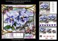 Iris Fantasy Off-center Pyramid Mini Kit 2