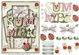 Summer Watermellon Lady Bug Card Topper 2