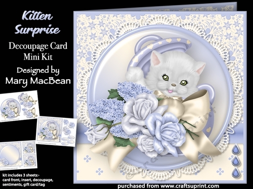 Kitten Surprise - Decoupage Card Mini Kit
