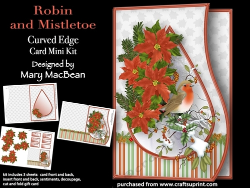 Robin and Mistletoe - Curved Edge Card Mini Kit