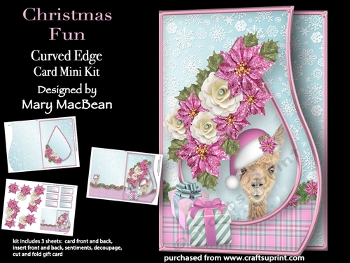 Christmas Fun - Curved Edge Card Mini Kit