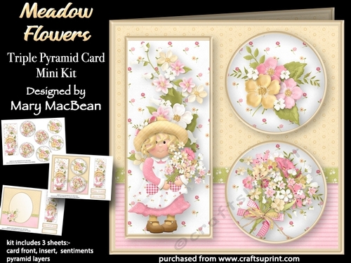 Meadow Flowers - Triple Pyramid Card Mini Kit