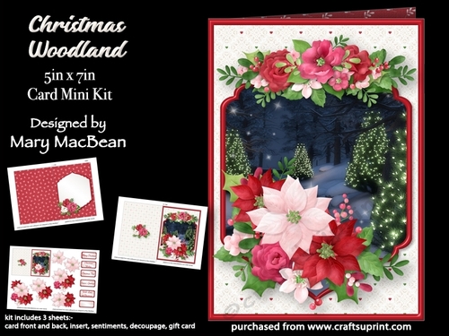Christmas Woodland - 5in x 7in Card Mini Kit