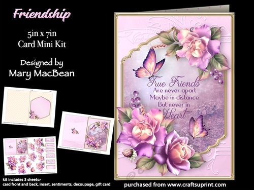 Friendship - 5in x 7in Card Mini Kit