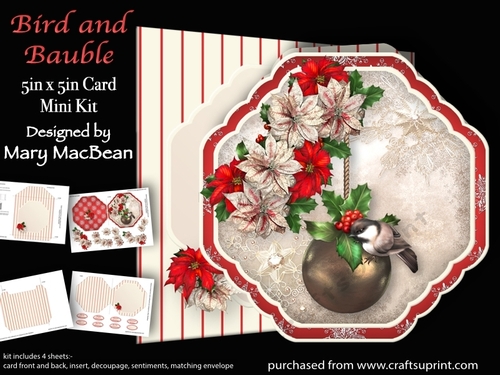 Bird and Bauble - 5 in x 5 in  Shaped Card & Envelope Mini Kit