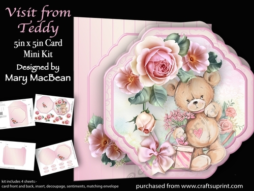 Visit from Teddy - 5 in x 5 in  Shaped Card & Envelope Mini Kit