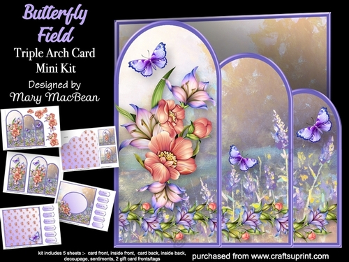 Butterfly Field - Triple Arch Card Mini Kit