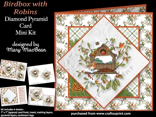 Birdbox with Robins - Diamond Pyramid Card Mini Kit