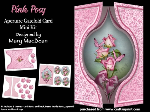 Pink Posy - Aperture Gatefold Card Mini Kit