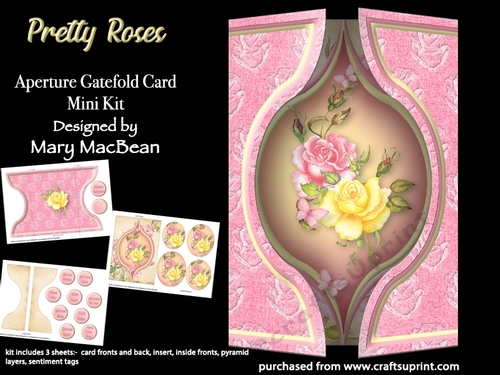 Pretty Posy - Aperture Gatefold Card Mini Kit