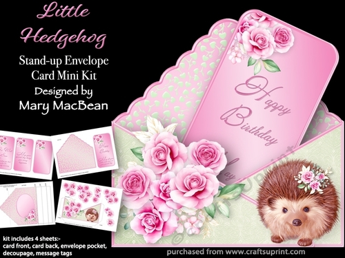 Little Hedgehog - Stand-up Envelope Card Mini Kit