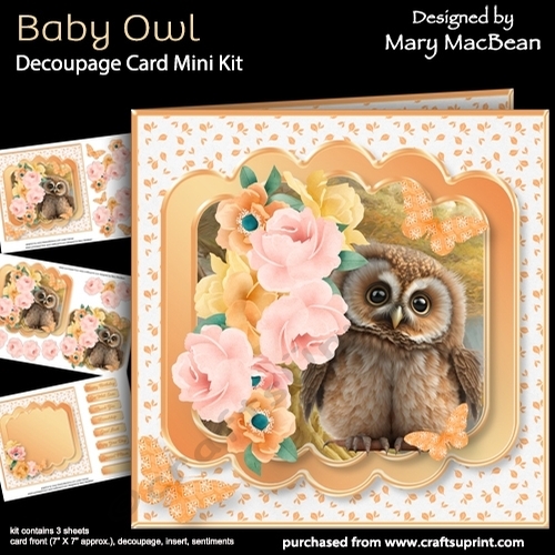Baby Owl - Decoupage Card Mini Kit