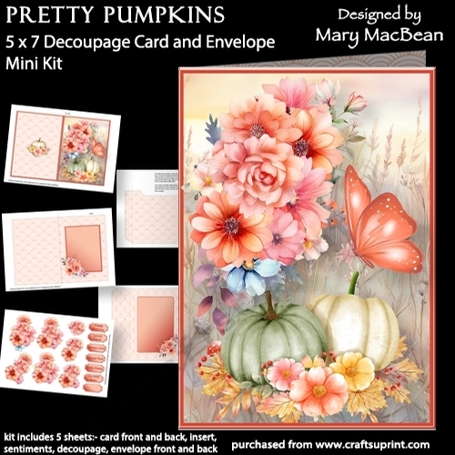 Pretty Pumpkins - 5 x 7 Card and Envelope Mini Kit