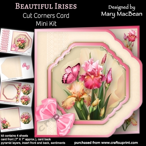 Beautiful Irises - Cut Corners Card Mini Kit