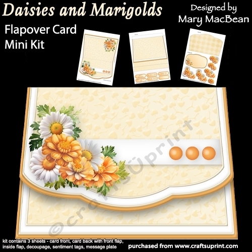 Daisies and Marigolds - Flapover Card Mini Kit