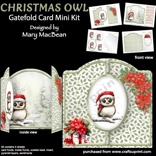 Christmas Owl - Gatefold Card Mini Kit
