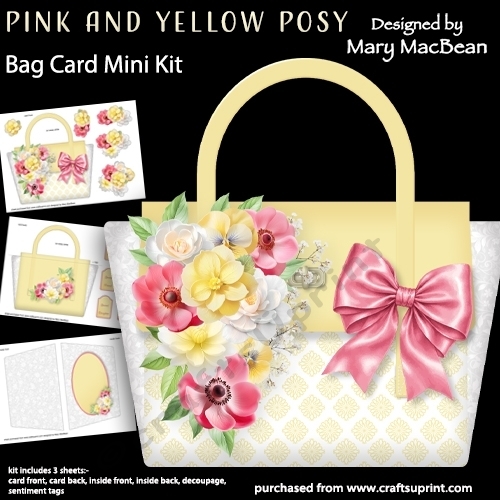 cup1453050_1648 - Pink and Yellow Posy - Bag Card Mini Kit