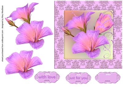Pink Hibiscus