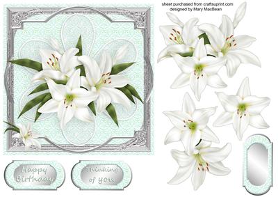 Flowers and Lace Lilies
