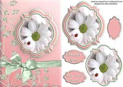 Ladybird Flower Get Well or Thank You Card