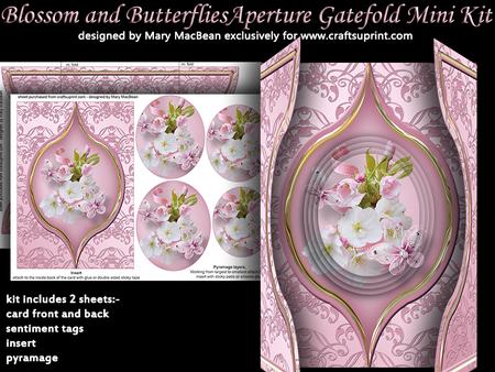 Blossom and Butterflies Aperture Gatefold Mini Kit