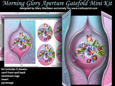 Morning Glory Aperture Gatefold Mini Kit