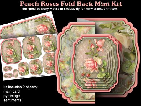 Peach Roses Fold Back Mini Kit