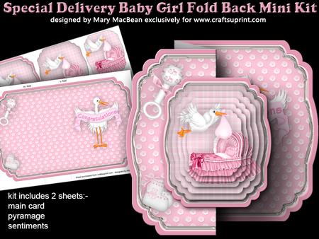 Special Delivery - Baby Girl Fold Back Mini Kit