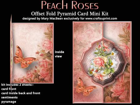 Peach Roses Offset Fold Card Mini Kit