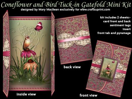 Coneflower and Bird Tuck-in Gatefold Mini Kit