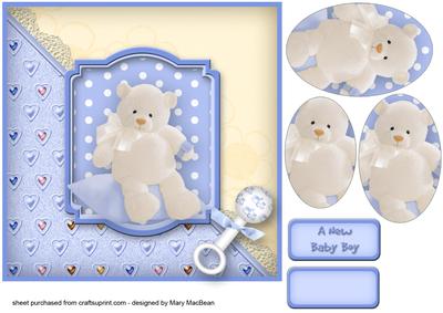 New Baby Boy Teddy