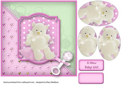 New Baby Girl Teddy
