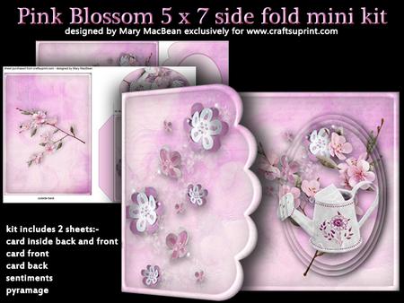 Pink Blossom 5x7 Side Fold Mini Kit