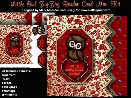 Little Owl Zig Zag Border Card Mini Kit