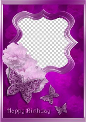 Pink Carnations and Butterflies