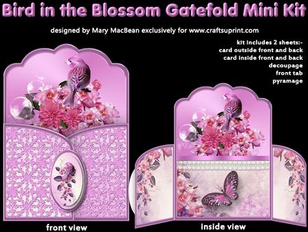 Bird in the Blossom Gatefold Mini Kit