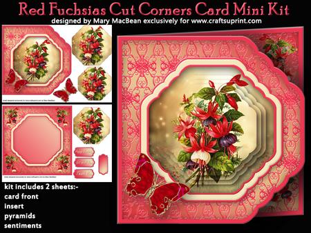 Red Fuchsias Cut Corners Card Mini Kit