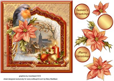 Christmas Robin Fancy Frame Card Front