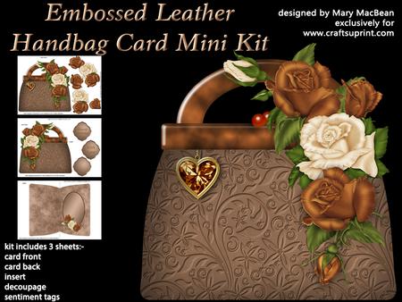 Embossed Leather Handbag Card Mini Kit