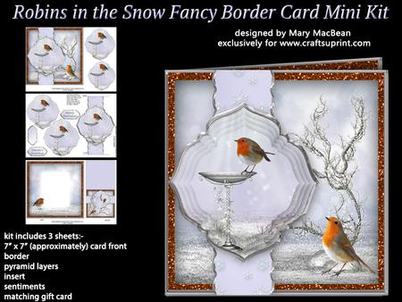 Robins in the Snow Fancy Border Card Mini Kit