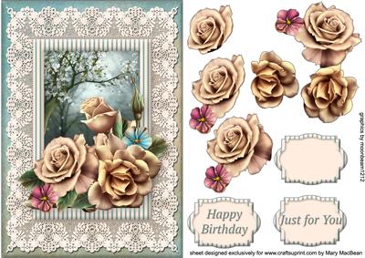 Lacy Lovelies A5 - Champagne Roses