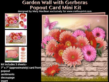 Garden Wall with Gerberas Popout Card Mini Kit