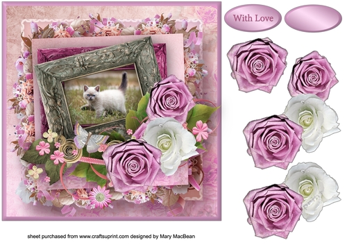 Kitten in a Frame Decoupage Card Front