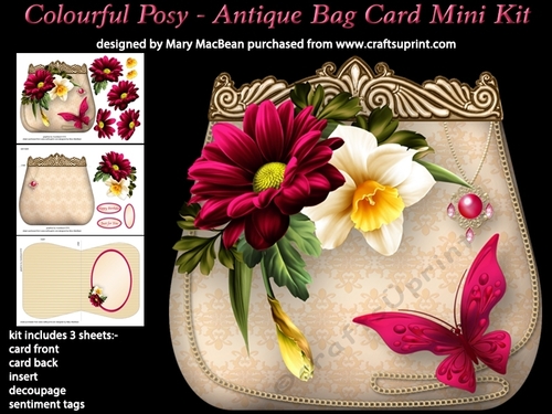 Colourful Posy - Antique Bag Card MIni Kit