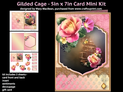 Gilded Cage - 5in x 7in Card Mini Kit