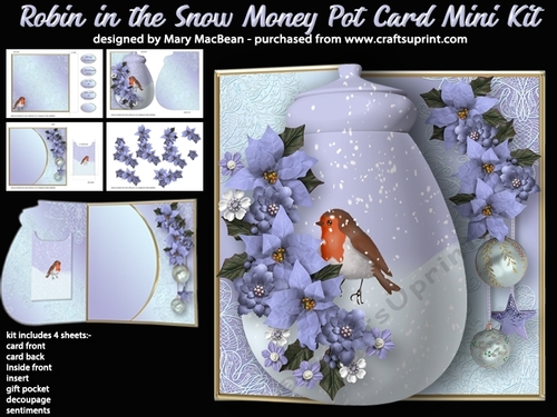 Robin in the Snow - Money Pot Card With Gift Pocket Mini Kit